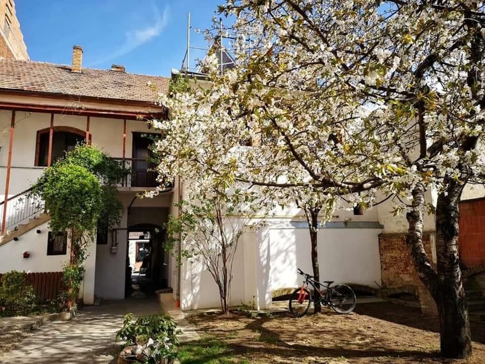 Appartamento Casa Miron 1 Timisoara Esterno foto